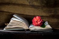 Boek & Roos van Simone Karis thumbnail
