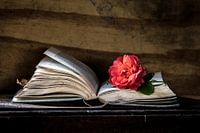 Boek & Roos