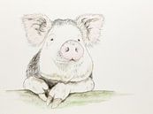 Het tevreden varken (vrolijk aquarel schilderij houtskool kinderboerderij dieren kinderkamer baby) van Natalie Bruns thumbnail