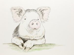 Le cochon content (aquarelle joyeuse au fusain, animaux du zoo, chambre d'enfant)