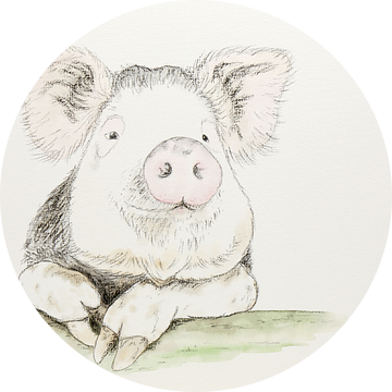 Het tevreden varken (vrolijk aquarel schilderij houtskool kinderboerderij dieren kinderkamer baby)