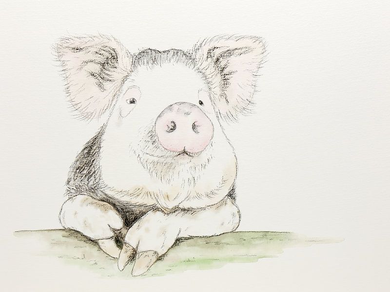 Das zufriedene Schwein von Natalie Bruns