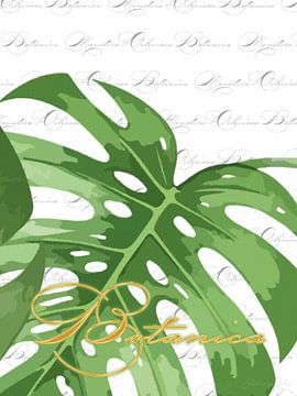 Monstera sur fond blanc avec Botanica en triptyque 3 v. 3