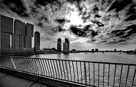 the Rotterdam by Govert Govers