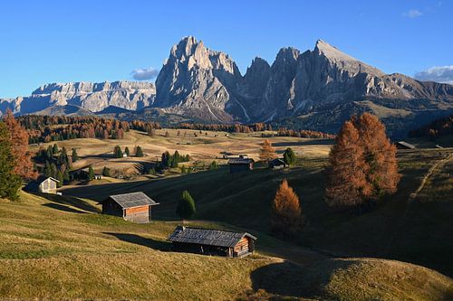 L'or d'automne sur l'Alpe de Siusi