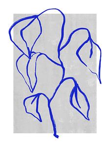 Blue Botanic No 4