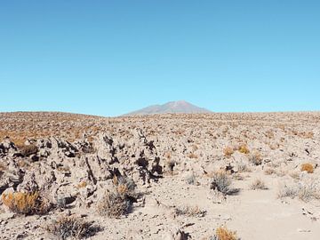 Zoutvlakte, Uyuni Bolivia sur Stefanie Lamers