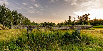 Leere Bank inmitten der Natur