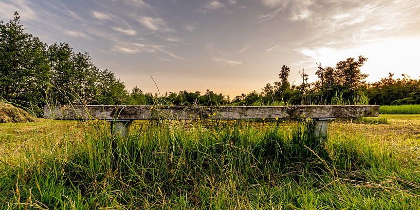 Empty bench in the middle of nature by Dafne Vos