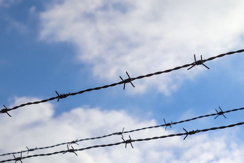 Nahaufnahme von Stacheldraht an einem Grenzzaun von MPfoto71