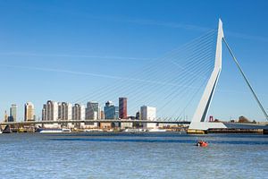 De skyline van Rotterdam