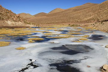 Atacama sur Antwan Janssen