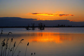 Serenity at 'De Leyen' during sunrise by Wilco Berga