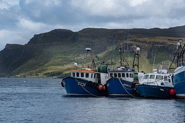Schotland, Isle of Skye-haven van Portree von Cilia Brandts