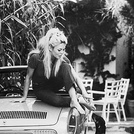 Brigitte Bardot op een auto met een hond van Tom Vandenhende