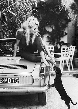 Brigitte Bardot on a car with a dog