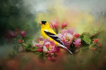 Vogels Schilderij Met Goudsijs Op Roze Lente Bloesem van Diana van Tankeren