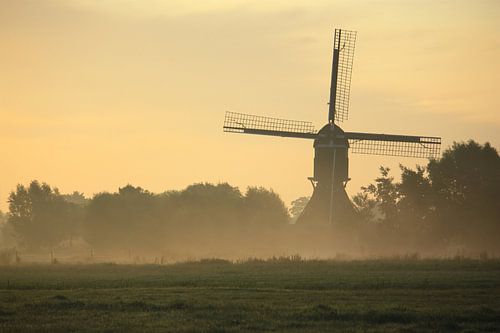 Molen in de mist