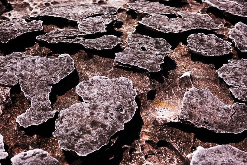 Trittsteine von Jan Tuns