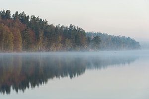 Morgenstimmung an einem See in Schweden, viel Ruhe und Natur, leichter Frühnebel, kühle Farben