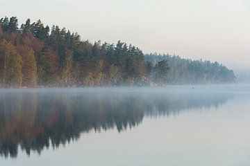 Typical lake in Sweden, surrounded by coniferous woods, first early light, absolutely quiet, calm wa
