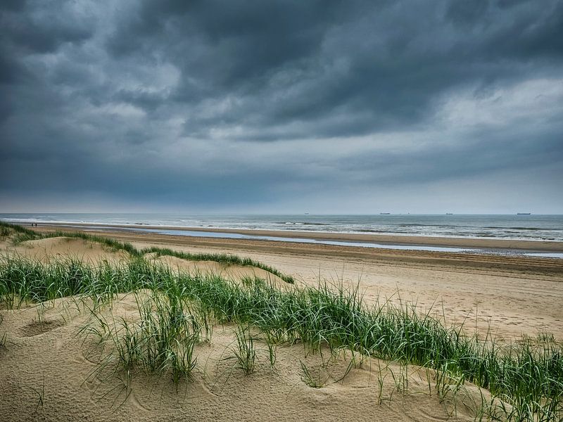Sur la plage près de Katwijk aan Zee par Peet Romijn