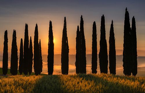 Paysage toscan typique, Italie sur Adelheid Smitt