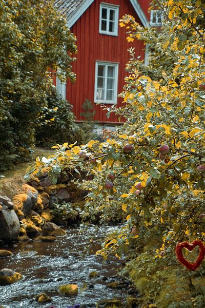 Fruit trees by a stream with a small bridge in front of a red wooden house in Sweden. by Martin Köbsch