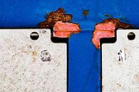 Kippepraat van Patty Elferink thumbnail