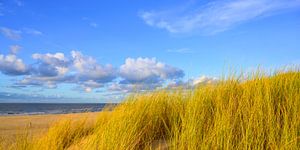 Sonnenuntergang am Strand von Texel mit Sanddünen im Vordergrund