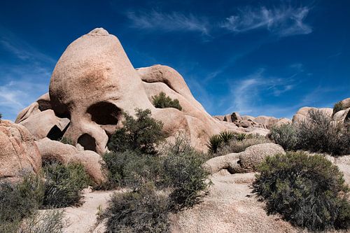 USA Rocks in Joshua Tree - this is named the Skull Rock