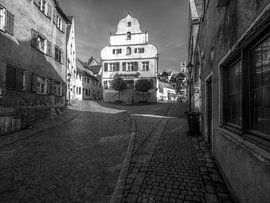 Holzwurm