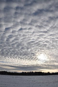 Wolken in een winterhemel van Claude Laprise