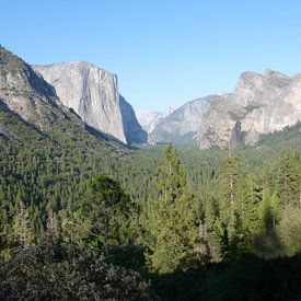 Vallei, Yosemite National Park, USA van Jeffrey de Ruig