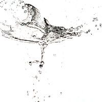 Water flies through the air