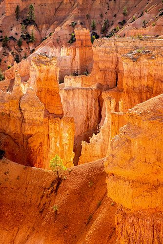 Bryce Canyon National Park - U.S.
