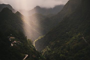 Madeira zonlicht van Arjan Bijleveld