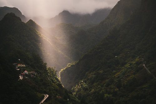 Madeira zonlicht