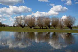 Bij de IJssel, nabij Welsum
