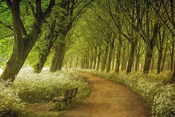 A Seat Not Taken van Lars van de Goor