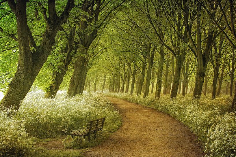 A Seat Not Taken van Lars van de Goor