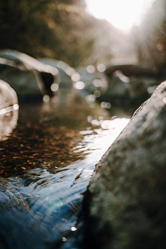 Sonnenstrahlen treffen auf Wasser