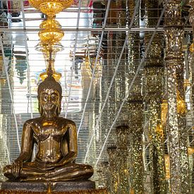 In het rijk van duizend reflecties van Walter G. Allgöwer