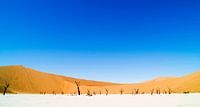Paysage : ciel bleu dans la dune 45, Sossusvlei, Namibie, Afrique par Jeroen Bos Aperçu