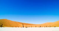 Landschap: blauwe lucht in Dune 45, Sossusvlei, Namibië, Afrika