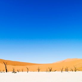 Landschaft: blauer Himmel in der Düne 45, Sossusvlei, Namibia, Afrika von Jeroen Bos