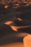 Marokko sahara 1