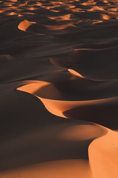 Marokko Sahara 1 von Andy Troy
