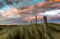 de noord hollandse duinen par Frans Bruijn Aperçu