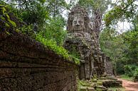 Ta Phrom Ankor Wat von Richard van der Woude Miniaturansicht
